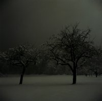 Filename=2_Die_Baeume.jpg
Filesize=271KiB
Dimensions=595x590
Date added=Jan 04, 2007 2_Die_Baeume.jpg