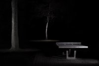 Filename=04_Westpark_IV.jpg
Filesize=609KiB
Dimensions=2048x1365
Date added=Jan 08, 2007 04_Westpark_IV.jpg