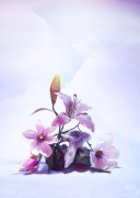 Filename=GER_Nikolai_Frerichs_-_1401_-_Inuit_have_no_word_for_future_13~0.jpg
Filesize=1216KiB
Dimensions=1463x2048
Date added=Jan 09, 2020 GER_Nikolai_Frerichs_-_1401_-_Inuit_have_no_word_for_future_13~0.jpg