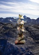 Filename=GER_Nikolai_Frerichs_-_301_-_Inuit_have_no_word_for_future_4~0.jpg
Filesize=3063KiB
Dimensions=1463x2048
Date added=Jan 09, 2020 GER_Nikolai_Frerichs_-_301_-_Inuit_have_no_word_for_future_4~0.jpg