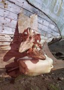 Filename=GER_Nikolai_Frerichs_-_501_-_Inuit_have_no_word_for_future_6~0.jpg
Filesize=3920KiB
Dimensions=1463x2048
Date added=Jan 09, 2020 GER_Nikolai_Frerichs_-_501_-_Inuit_have_no_word_for_future_6~0.jpg