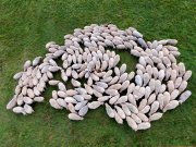 Filename=Schafherde.jpg
Filesize=1710KiB
Dimensions=1365x1024
Date added=Jan 12, 2019 Schafherde.jpg