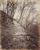 Foto_Eckert_Terrain_2