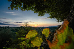 PF_Tom_Ang_Colleoli workshop 2016_02