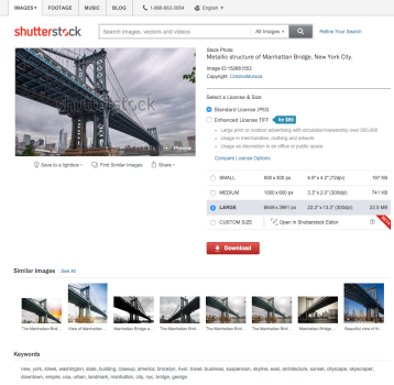 Beispiel 2 - Ähnliche Bilder Neu