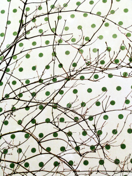 PF_Heidi_Specker_Punkte