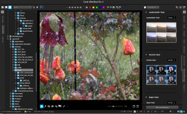 PF_2016_Mai_10_ASP3_PLUGIN_MANAGER_02