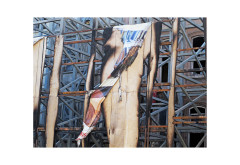 architekturbild2015_01_GerschnerPetra_3