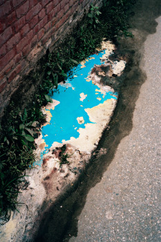 -® Vincent Delbrouck