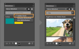 Adobe_Stock_step2_1449256939210