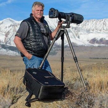 Moose_collection_large