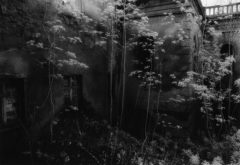 pf-andreaslang_dasschloss_300dpi-1