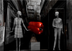 zebra-pimiento-foto-rene-mina