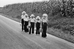 pf-007_amish-96dpi-fw-1