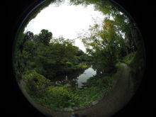 OLYMPUS DIGITAL CAMERA