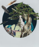 pf-andrea-pozzuoli-11