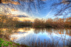pf-christian-kortum_swan-lake-in-winter-mood-explore