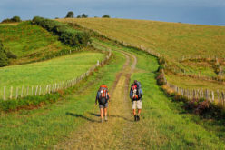 Region Aquitaine, Dep. Pyrénées-Atlantique, Via Podiensis / GR65 bei Aroue
