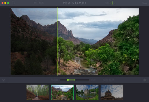 pf_photolemur_ptlmr-1