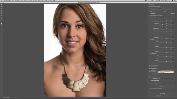 bildschirmfoto-2016-11-29-um-12-38-39