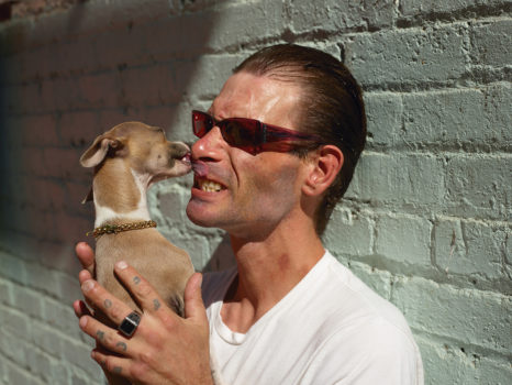 pf-ph_cwf_doglick_2500