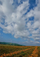 Entdecken und Gestalten