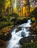 Fotos entwickeln und archivieren