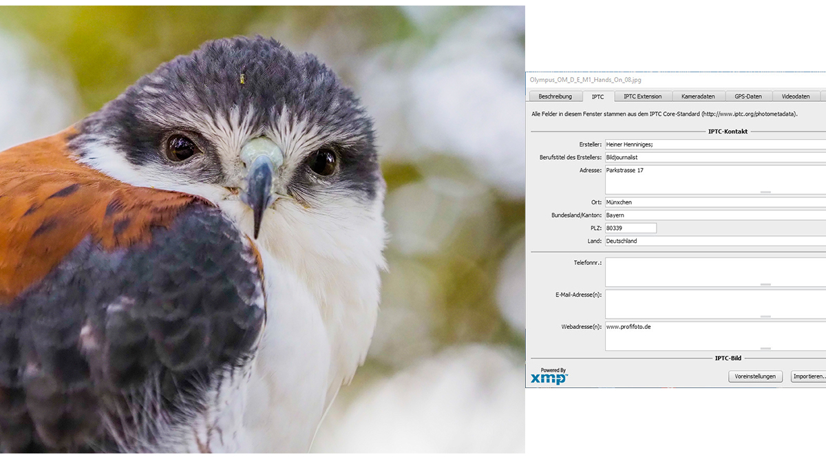 Iptc Data IPTC-Daten | ProfiFoto