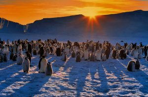 Der richtige Augenblick