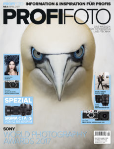 ProfiFoto 4/17