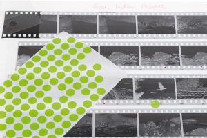 Faszination Schwarzweiß