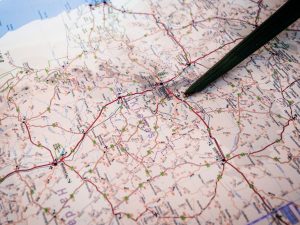 Hippos, Elefanten & Co.