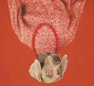 Ab heute: Rencontres de la Photographie