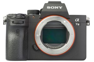 Zum Ersten, zum Zweiten und zum Dritten