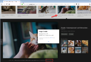 Bilder jetzt mit Credit