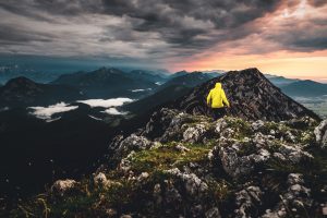 Neue Gesichter entdecken