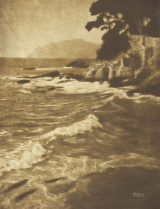 Auktion Photographie