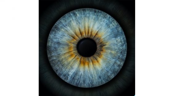 Iris Foto Galerie eröffnet