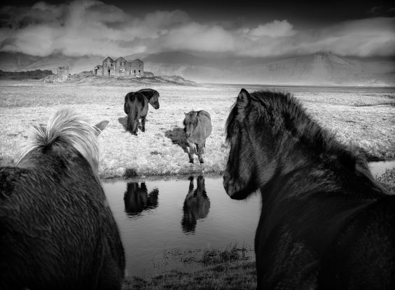 Die ersten Gewinner stehen fest