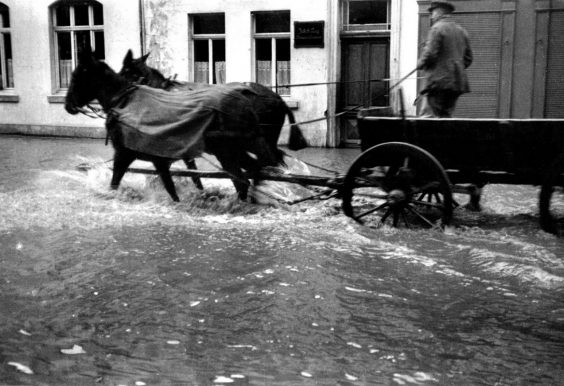 Bewerbungsphase startet am 1. März