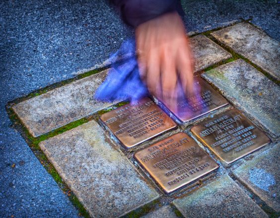 Olympus auf dem Umweltfotofestival