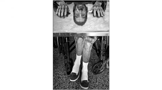 Raúl Cañibano – Esencia