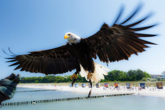 Das Event- und Rahmenprogramm