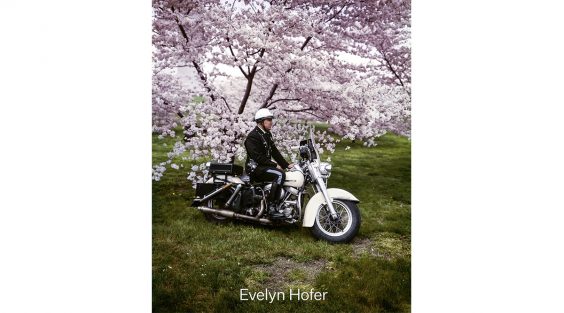 Begegnungen / Encounters