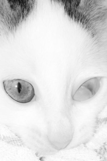 Talent Award 2019: Die Finalisten