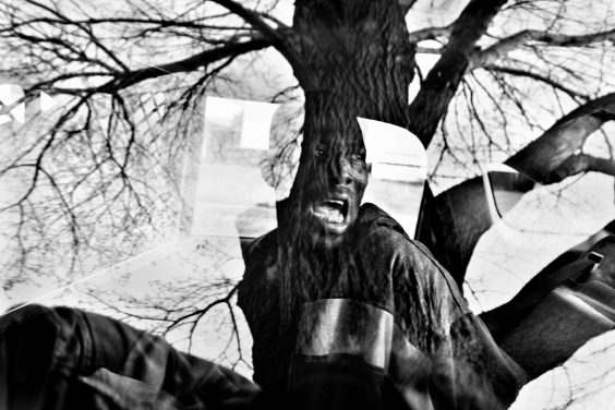 PAOLO PELLEGRIN – UN`ANTOLOGIA