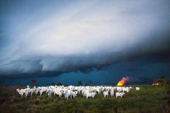 Kostenloser Workshop