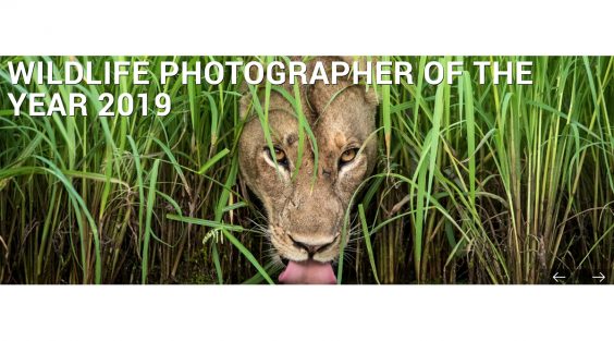 Naturfotografen des Jahres 2019