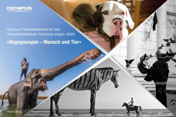 Begegnungen – Mensch und Tier