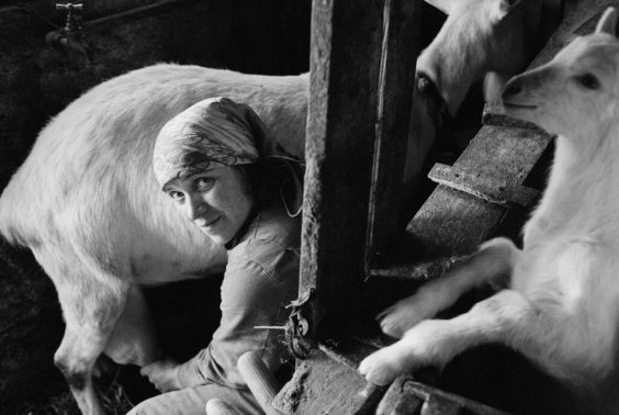 Lutz und Jacot ausgezeichnet